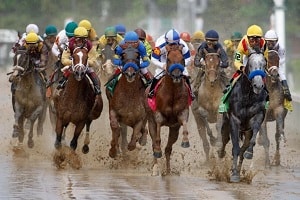 race horses on the track