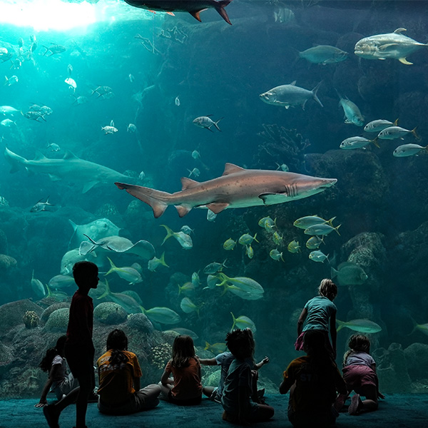 Florida Aquarium exhibit